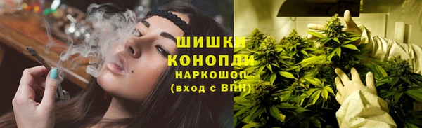индика Богородск