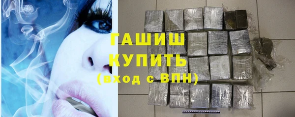 индика Богородск