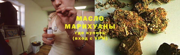 индика Богородск