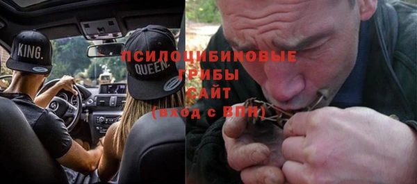 гашиш Богданович