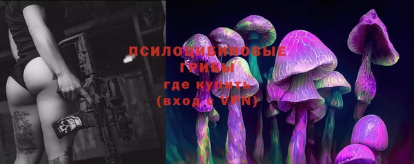 гашиш Богданович