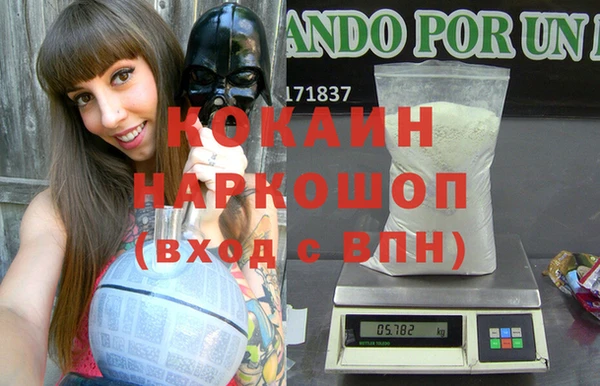 индика Богородск