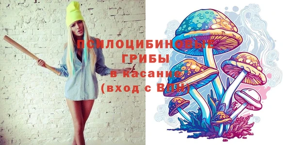 гашиш Богданович