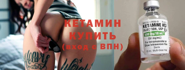 индика Богородск