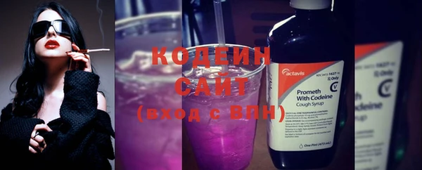 гашиш Богданович