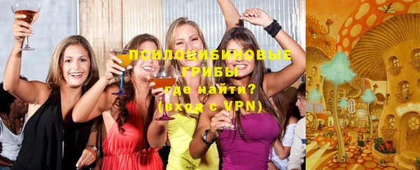 индика Богородск