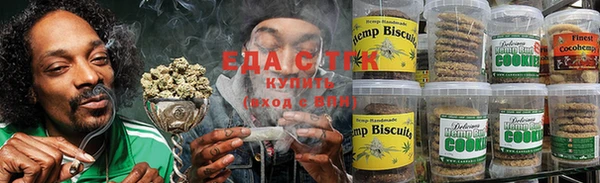 индика Богородск