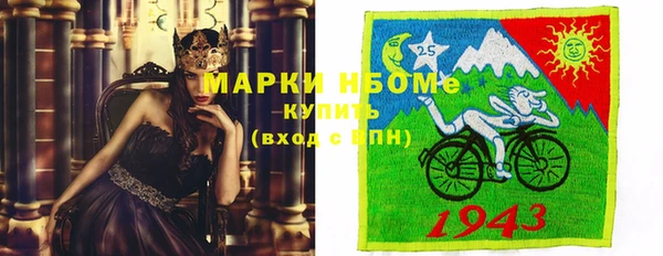 индика Богородск