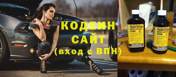индика Богородск