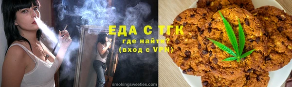 индика Богородск