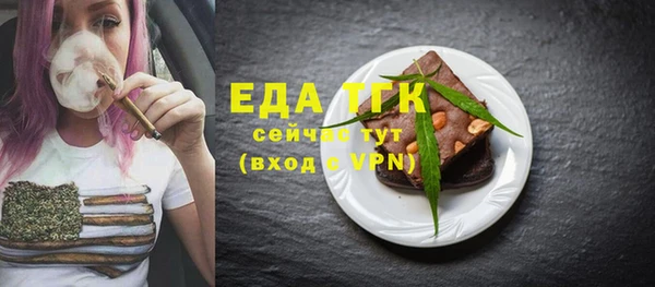 индика Богородск