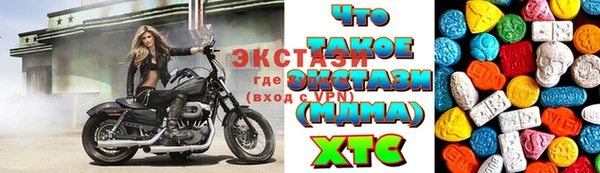 индика Богородск