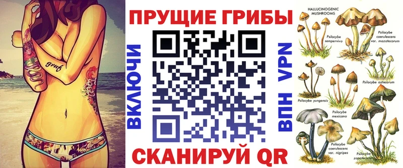 kraken ТОР  Константиновск  Псилоцибиновые грибы мицелий 